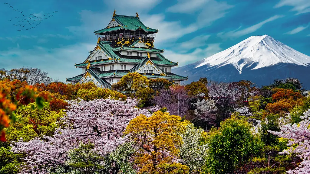 Cherry blossoms in Japan - The Japan Weeknd Magazine